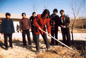 Women demonstrating improved potato hoe that speeds hoeing and reduces labour strain